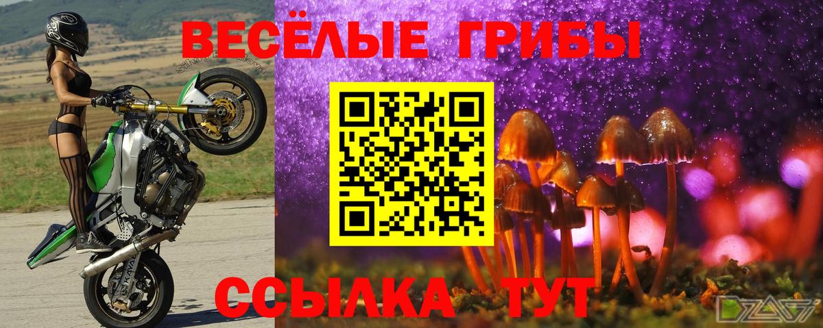 Псилоцибиновые грибы GOLDEN TEACHER  Вход с VPN  Шарыпово  Псилоцибиновые грибы ЛСД 