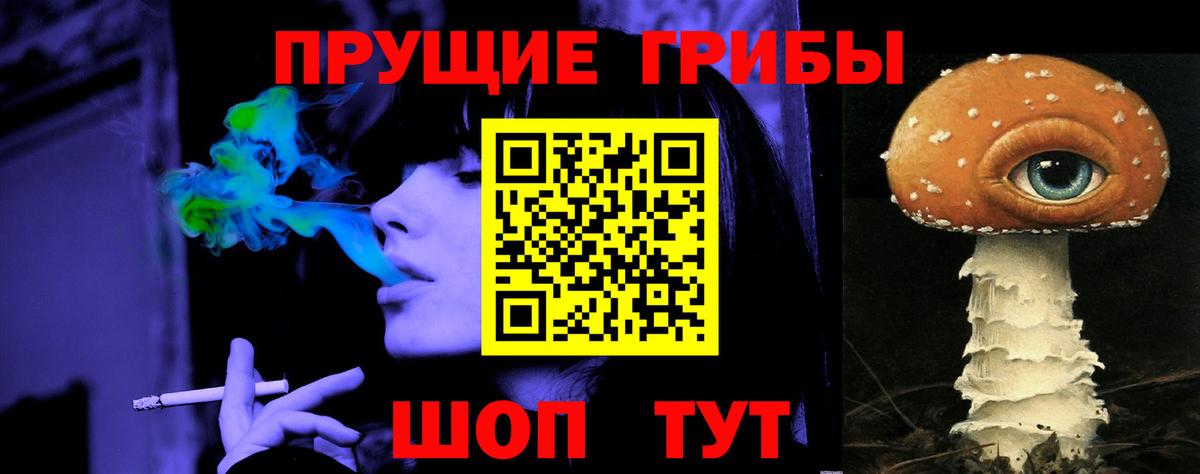 Псилоцибиновые грибы Psilocybe Шарыпово